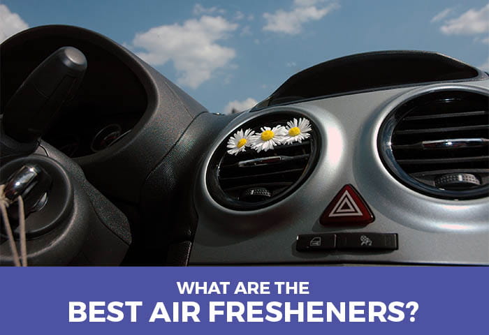 The Best Air Fresheners